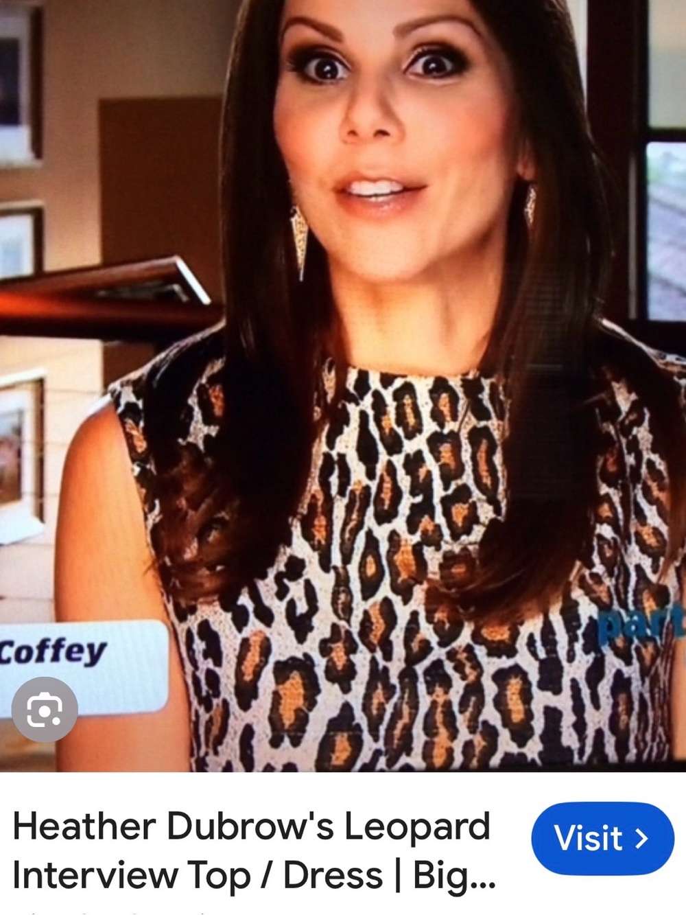 Alice + Olivia Leopard Print Sleeveless Mini Dress - Picture 5 of 5